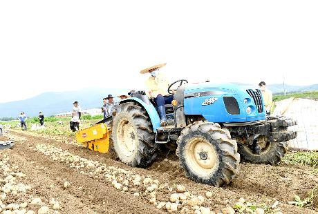 감자수확 농가 방문 의견청취(2020. 07. 06)_1