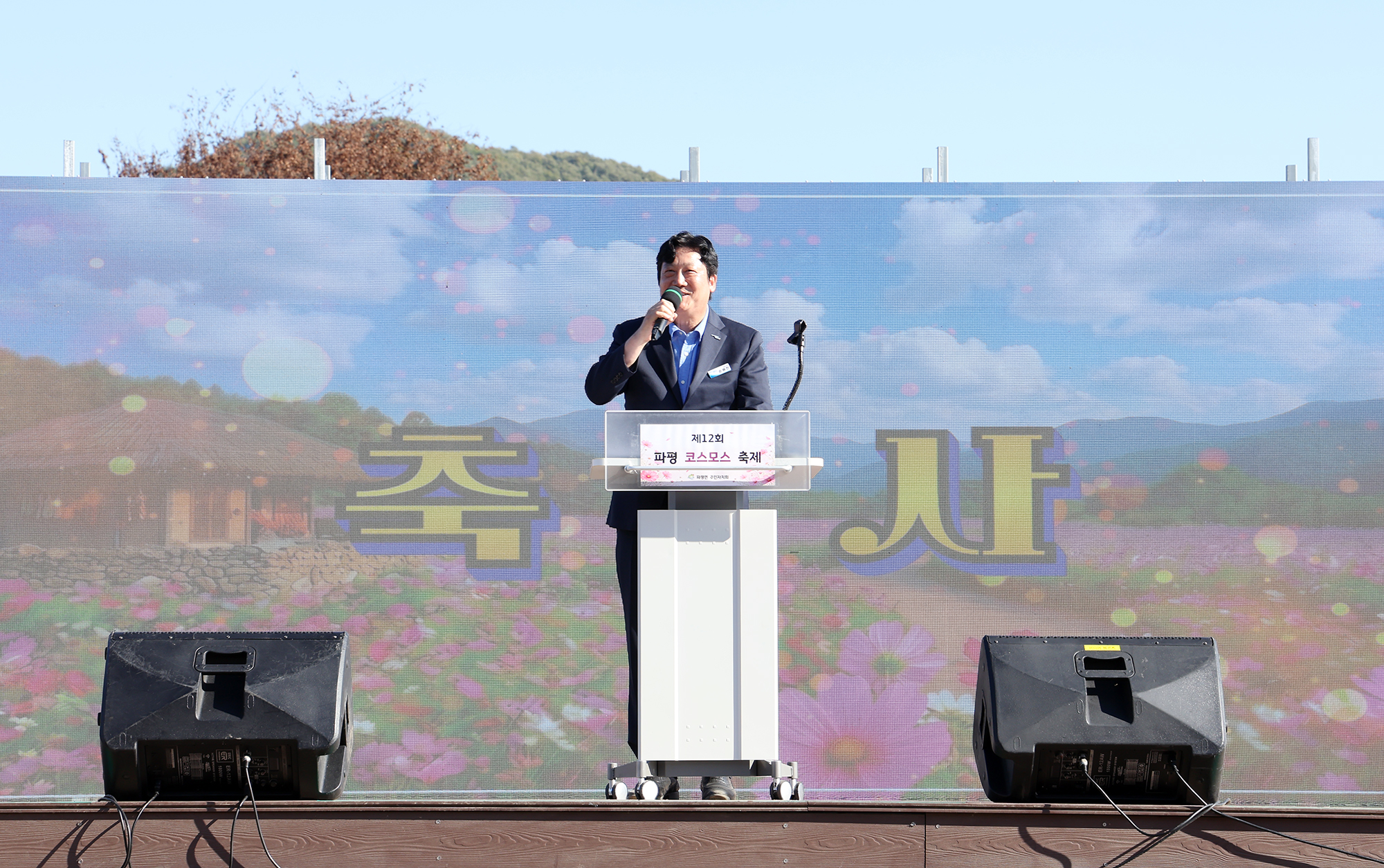 파평코스모스 축제