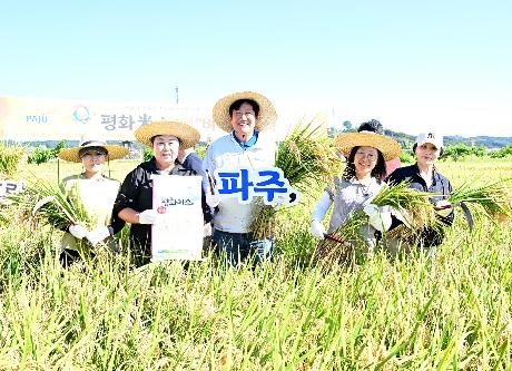 파주 평화 米소 벼베기 시연회 _5