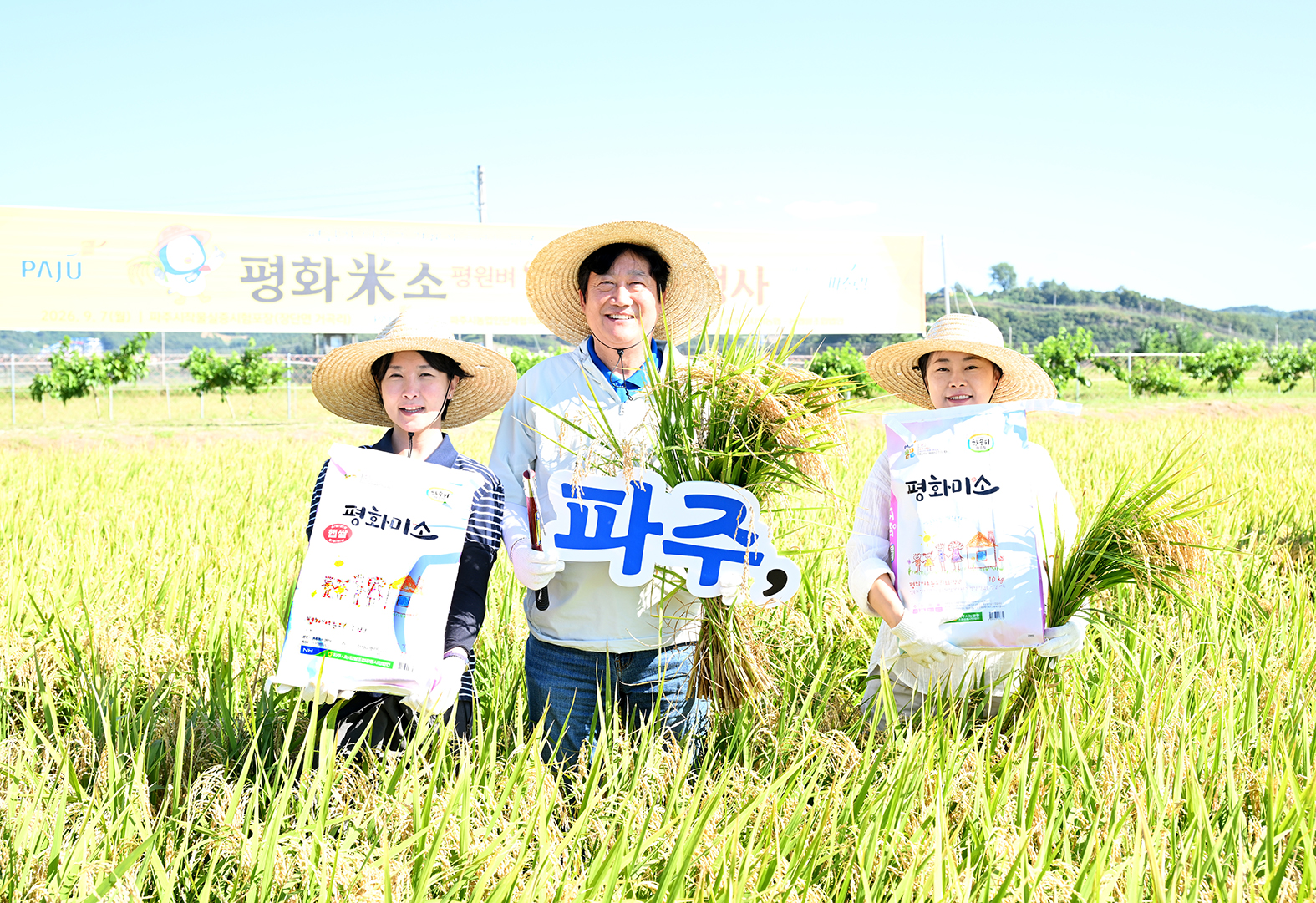 평화 米소 벼베기 시연회 