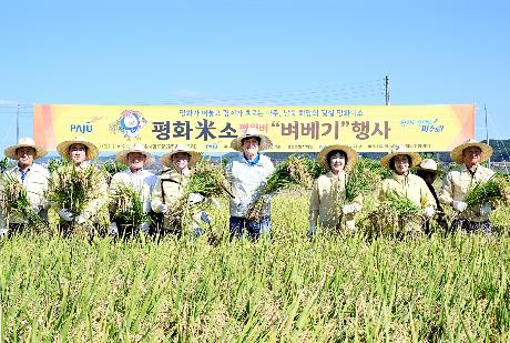 파주 평화 米소 벼베기 시연회 _1
