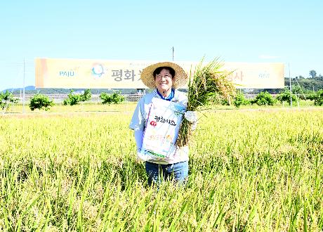 파주 평화 米소 벼베기 시연회 _0