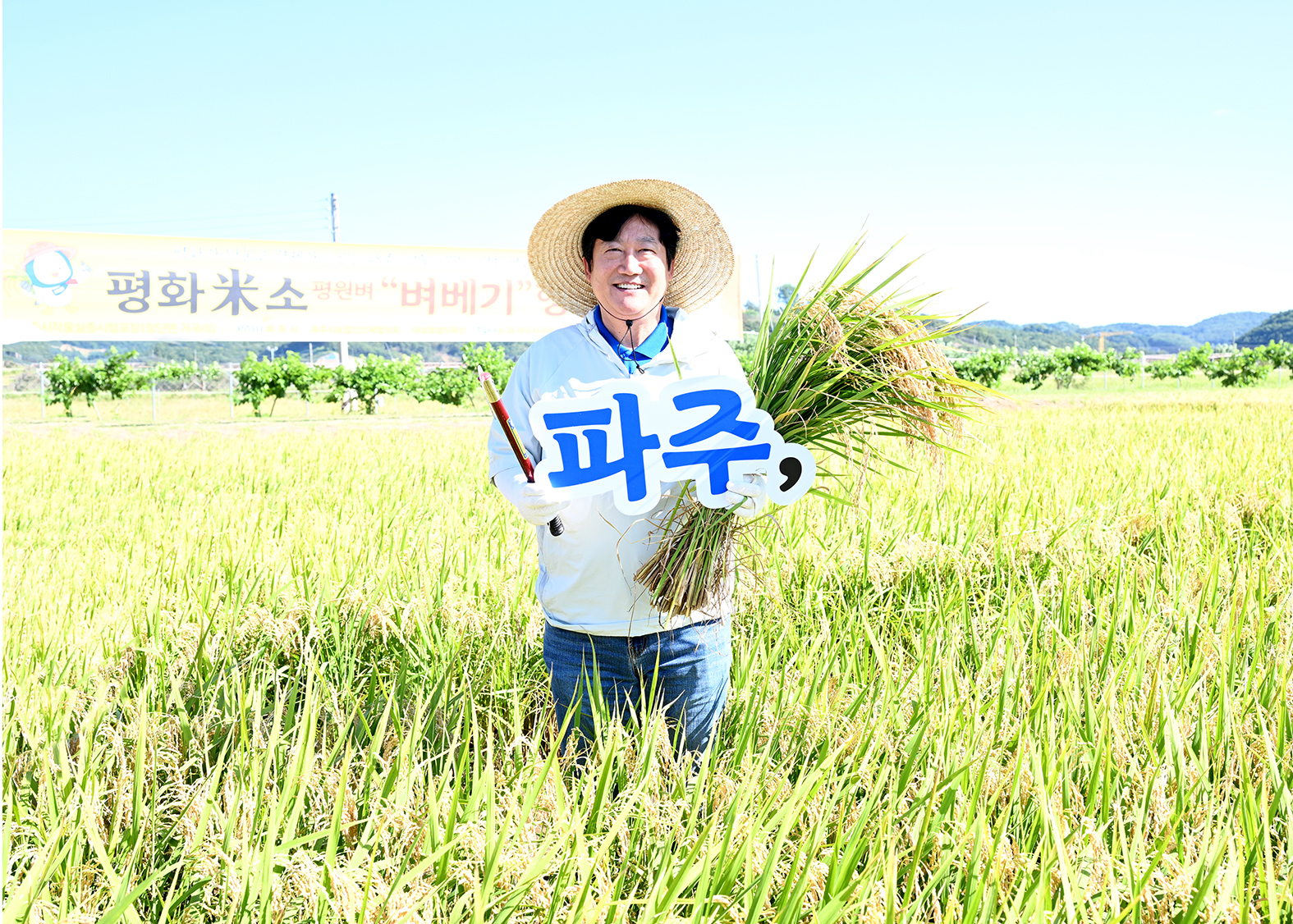 평화 米소 벼베기 시연회 