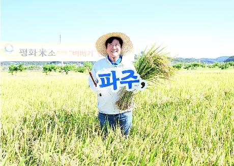 파주 평화 米소 벼베기 시연회 _3