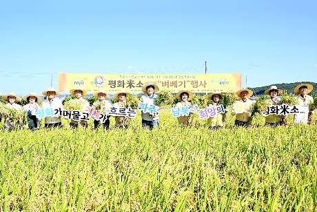 파주 평화 米소 벼베기 시연회 _2